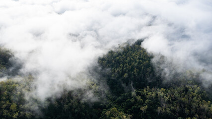 aerial view of clouds on beautiful mountains beautiful nature that covers the fertile tropical forests of Nan Province Northern Thailand, Ya Luang Suan