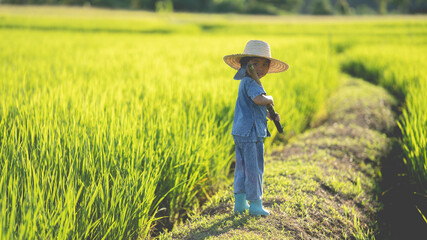 Naklejka na ściany i meble Asian girl farmer in a hat holding a hoe to inspect a beautiful field during warm light organic farming concept concept of living with nature rural area of Nan Province northern thailand 