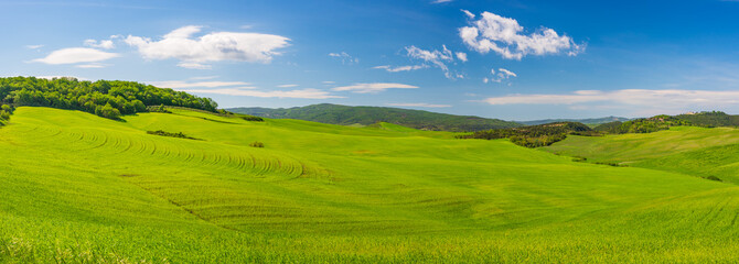 Unique green landscape in Tuscany, Italy. Scenic blue sky and sunset light over cultivated hill range and cereal crop fields. Toscana, Italia.