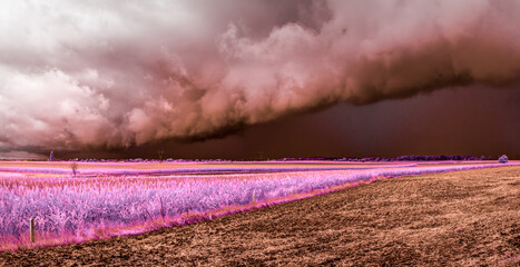 wał burzowy nad polami, zdjęcie w podczerwieni © Henryk Niestrój