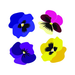 Set of pansies pink blue yellow purple flower on a white background