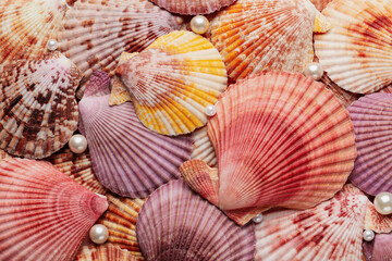 Beautiful sea shells and pearls as background, top view