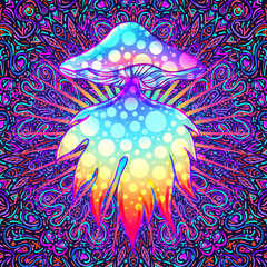 Fototapeta na wymiar Magic mushrooms. Psychedelic hallucination. Vibrant vector illustration. 60s hippie colorful art.