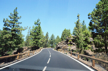 TENERIFE, SPAIN: Scenic landscape view of the Teide volcano road with the forest around 