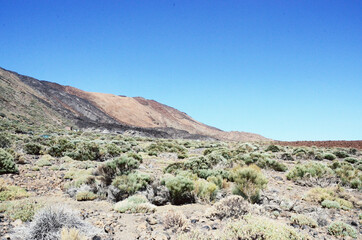 Fototapeta na wymiar TENERIFE, SPAIN: Scenic landscape view of the Teide volcano natural park
