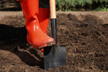 Woman digging soil with shovel outdoors, closeup. Gardening time