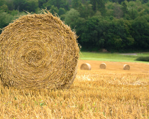 Hay bale