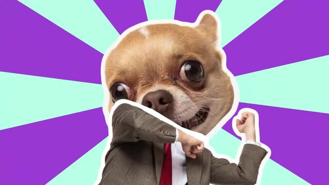 4K Minimal animation motion design. Funny dog face on dancing man. Pop and dance mood. Businessman in stop motion, 2D, modern, conceptual, contemporary pop art collage. Party, business, concept