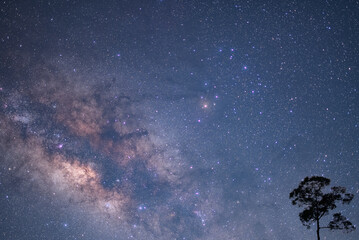starry night sky