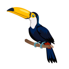 Isolated cartoon toucan icon. Mexican forest bird. Color clipart. Jungle character © shaineast