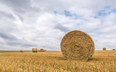 The hay Bale