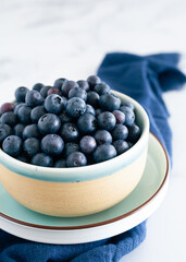 Fresh Blueberries in a Bowl