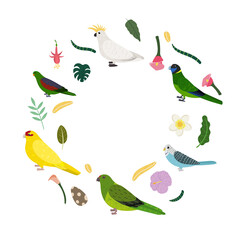 Design template with parrots in circle for kid print. Round composition of tropical birds cockatoo, kakariki and budgies. Vector set of jungle life in cartoon style.