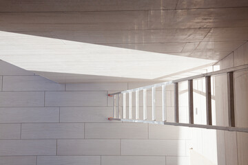Ladder