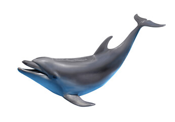 Beautiful grey bottlenose dolphin on white background - obrazy, fototapety, plakaty