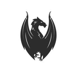 Fototapeta premium Dragon icon template vector illustration