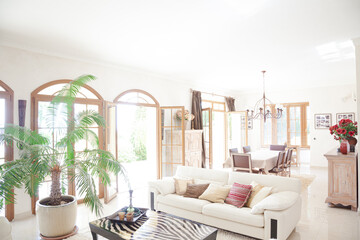 Luxury living room and dining room