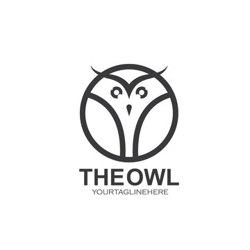 circle owl icon vector illustration concept  design