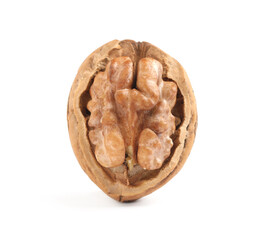 Tasty walnut in shell isolated on white