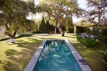 Lap pool in tranquil garden