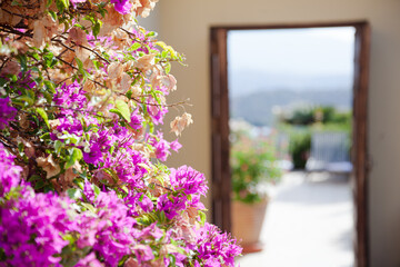 Doorway from patio into Spanish villa