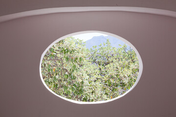View of garden through oval window