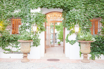 Fototapeta na wymiar Potted topiaries and ivy surrounding villa entrance