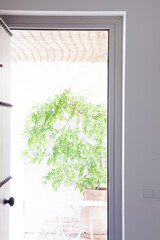 Sunny balcony