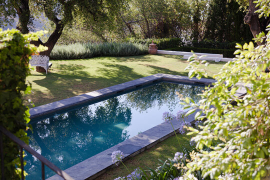 Lap pool in tranquil garden