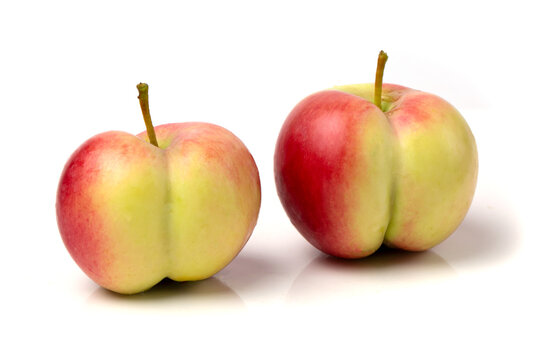 Two Red and yellow apples in the form of a female buttock on a fucking background.