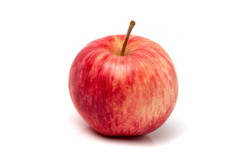 One colorful pink apple on a white background.