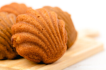 Madeleine cakes with a distinctive shell-like shape on white background for bakery, food and eating concept
