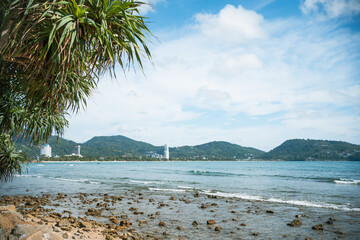 Beach with Palm trees.Blue sea waves and sky on sand famous beach.Peaceful.