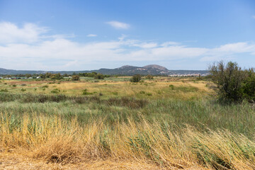 Landscape of a grass field and plants and a view of the castle of Montgrí, in the city of Estartit in Catalonia, Spain
