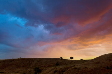 Fototapeta premium Beautiful scenery with a lonely tree as a small detail on a high hill in front of a magnificent sunset sky with colorful dramatic sunset clouds.