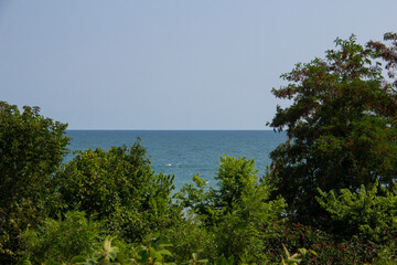 Fototapeta na wymiar Lake Ontario beyond the foliage