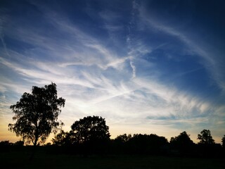 Obraz premium sunset in the field