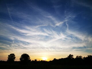 Fototapeta na wymiar sunset in the field