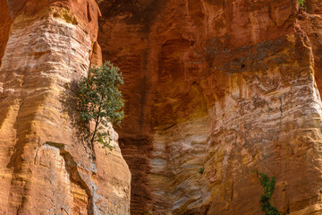 Luberon ocher near the village of Roussillon. Geological wonder in Provence.