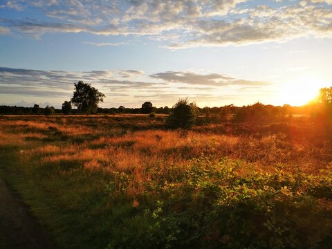 sunset in the field © Dennis