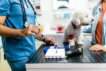A young woman brought her sick dog to the vet for a check-up.