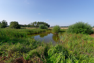 La Bassée National Nature Reserve in Ile-de-France region. Jaulnes village