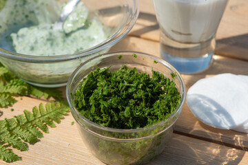 Healing cream with Wood Fern leaves and yogurt.