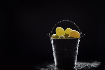 Grapes in a bucket. Harvested grapes on a dark background in a miniature stainless steel bucket.
An abundance of white grapes. Raisin production.