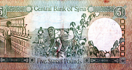 Large fragment of the reverse side of 5 Five Syrian pounds Livres year 1991 AD 1412 AH with Worker...