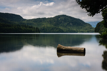 Nature landscape of the Alpsee lake under a stormy sky, Schwangau, Bavaria, Germany