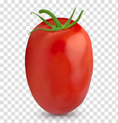 San Marzano, plum or Roma tomato isolated on isolated background including clipping path.	
 - obrazy, fototapety, plakaty