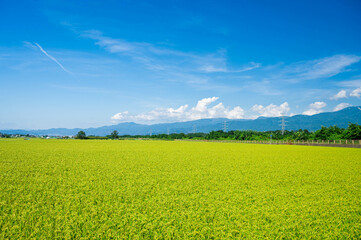 Obraz premium 塩尻市 広丘の田園から松本市方面