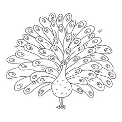 Cute Peacock black outline contour, beautiful animal sketch, bird with big feather tail illustration