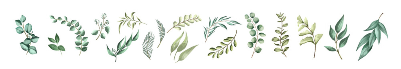 Fototapeta premium Vector set botanical elements - wildflowers, herbs and wild foliage